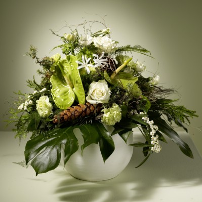 Botanical-Energy-W-01.jpg