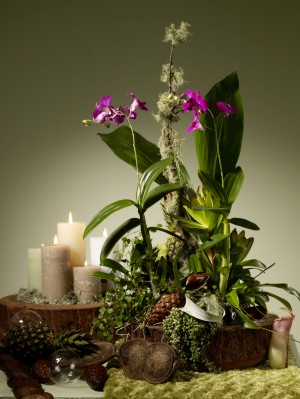 Botanical-Energy-W-03.jpg