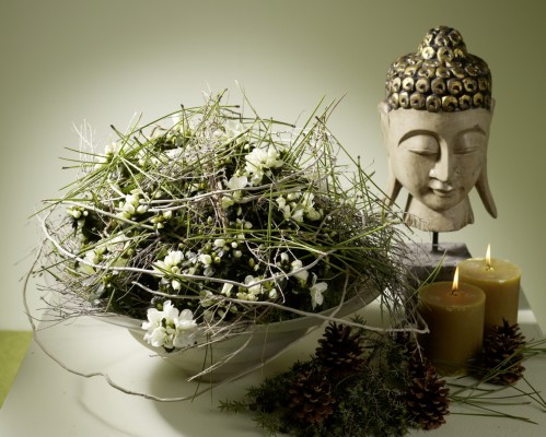 Botanical-Energy-W-05.jpg