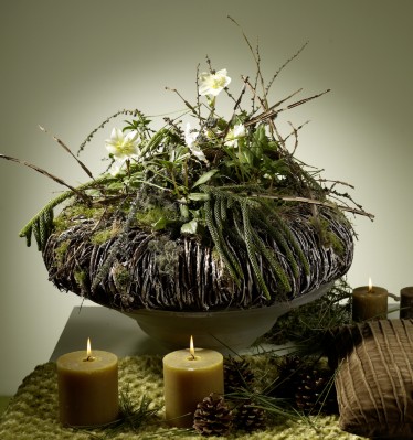 Botanical-Energy-W-06.jpg