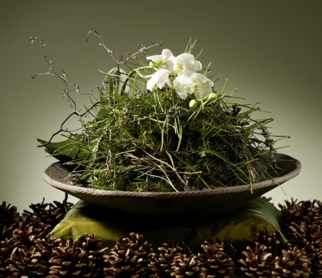 Botanical-Energy-W-12.jpg