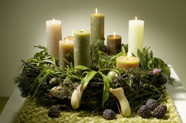 Botanical-Energy-W-19.jpg