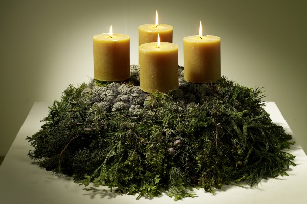 Botanical-Energy-W-20.jpg