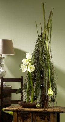 Botanical-Energy-W-21.jpg
